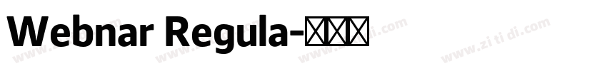 Webnar Regula字体转换